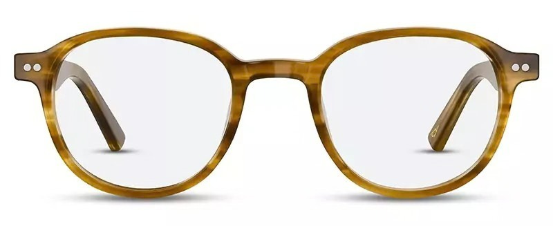 Olive Tortoiseshell